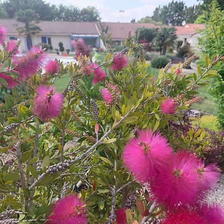 Lagalerne Bed & Breakfast Neuville-de-Poitou Exterior photo