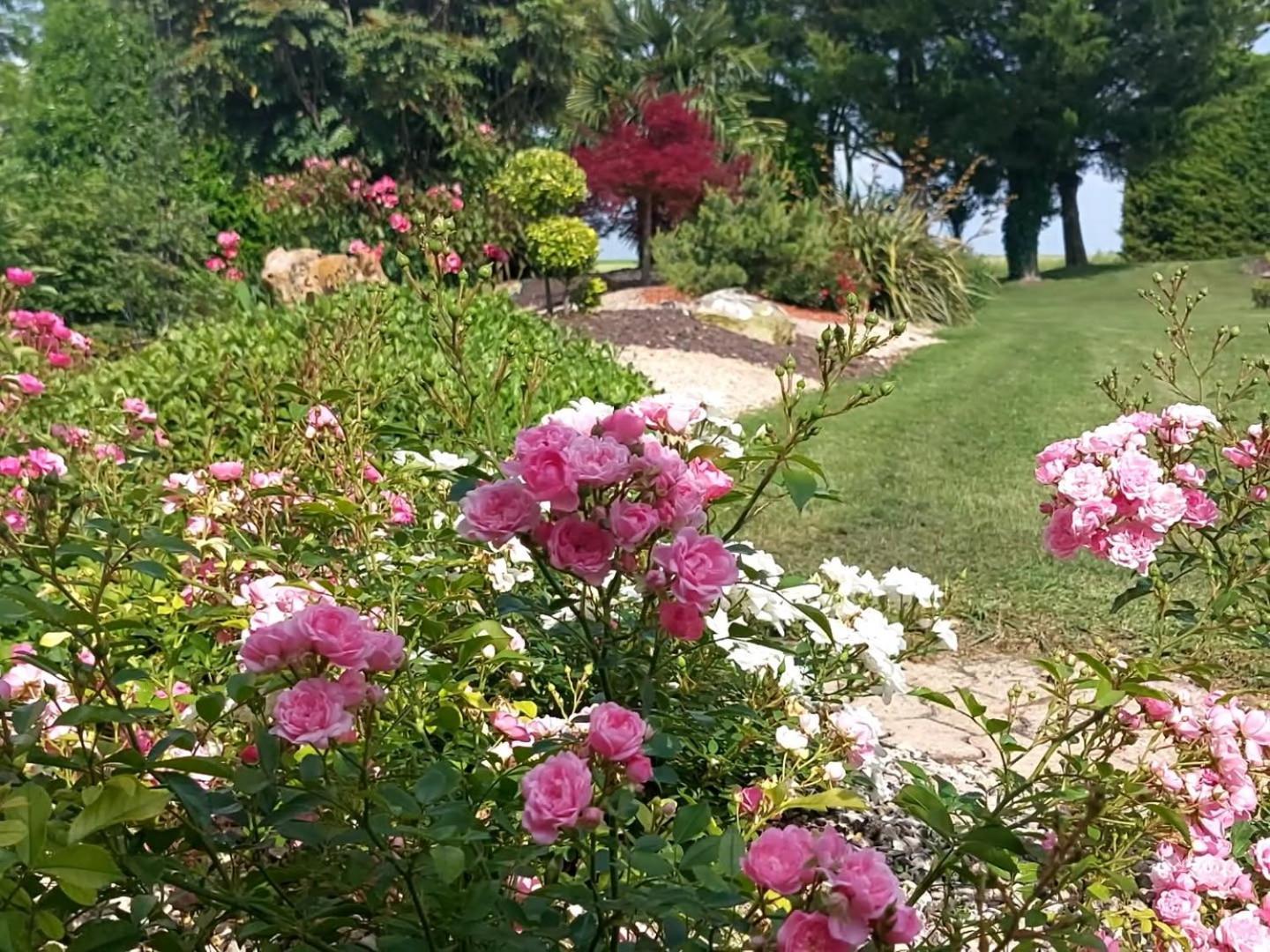 Lagalerne Bed & Breakfast Neuville-de-Poitou Exterior photo